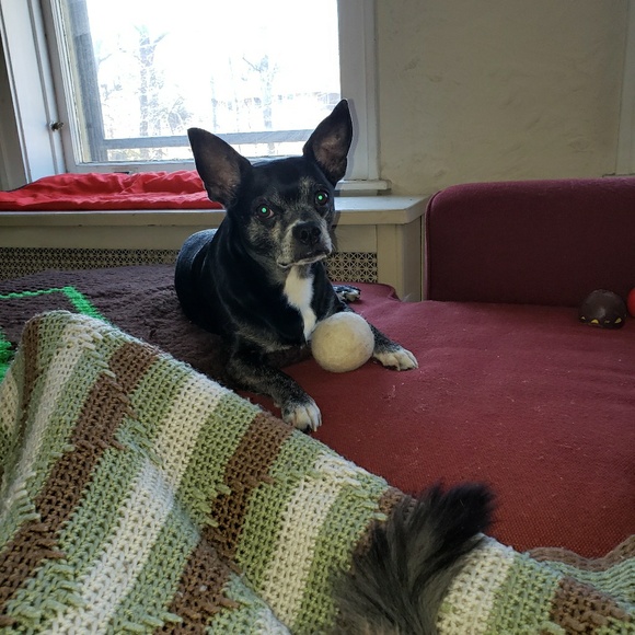 Meet your Posher, Carlyn - Picture 1 of 1